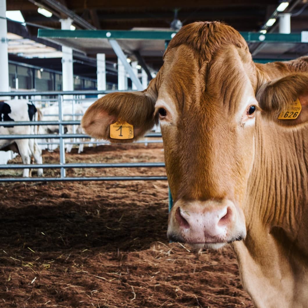 Cosa fare con i bambini a Bologna e dintorni Travel Emilia Romagna