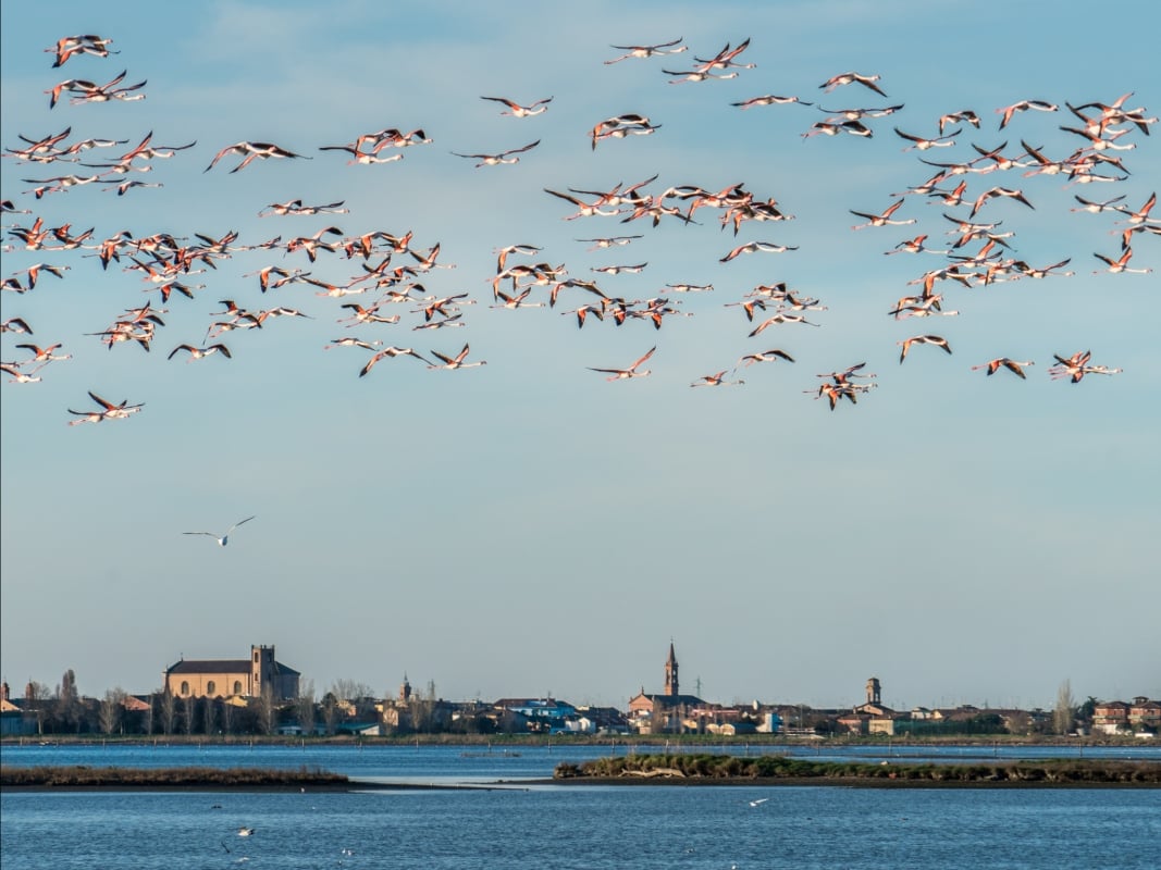 Comacchio