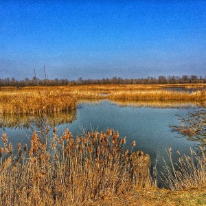 Parco del Delta del Po - Foto di @simonegraziosi
