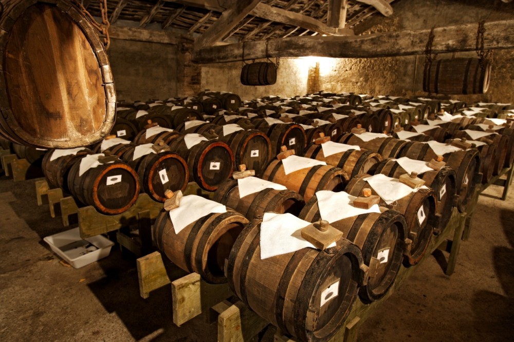 Acetaia di Modena