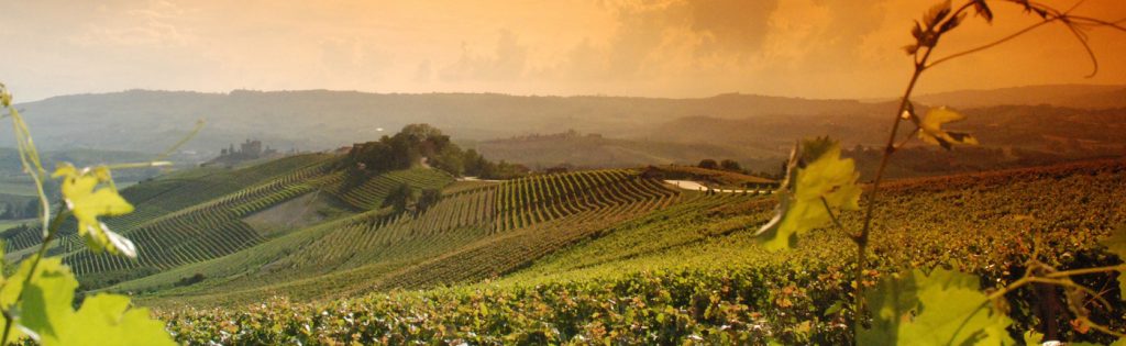 Vini dell'Emilia