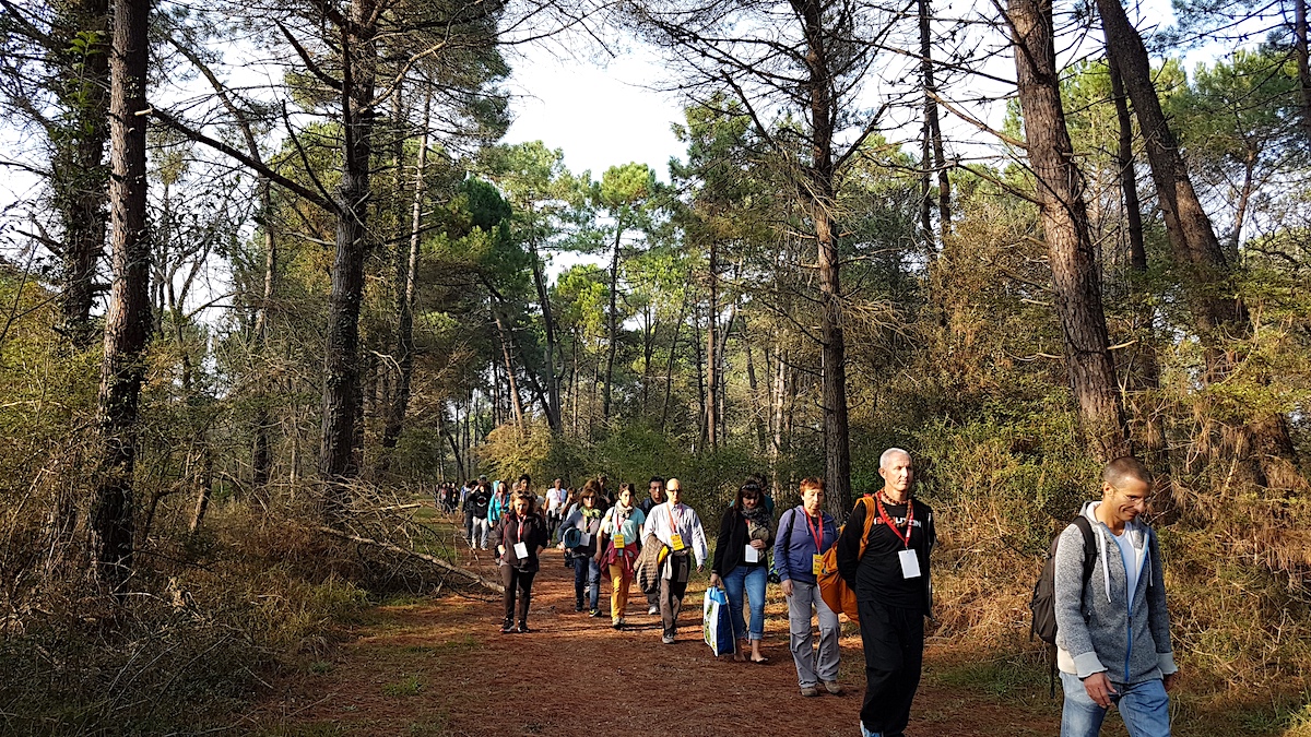 Meditazione nella pineta di Classe (Ravenna)