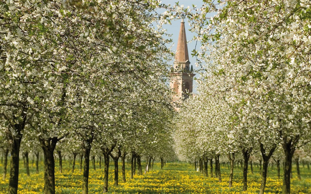 Prodotti Emilia Romagna