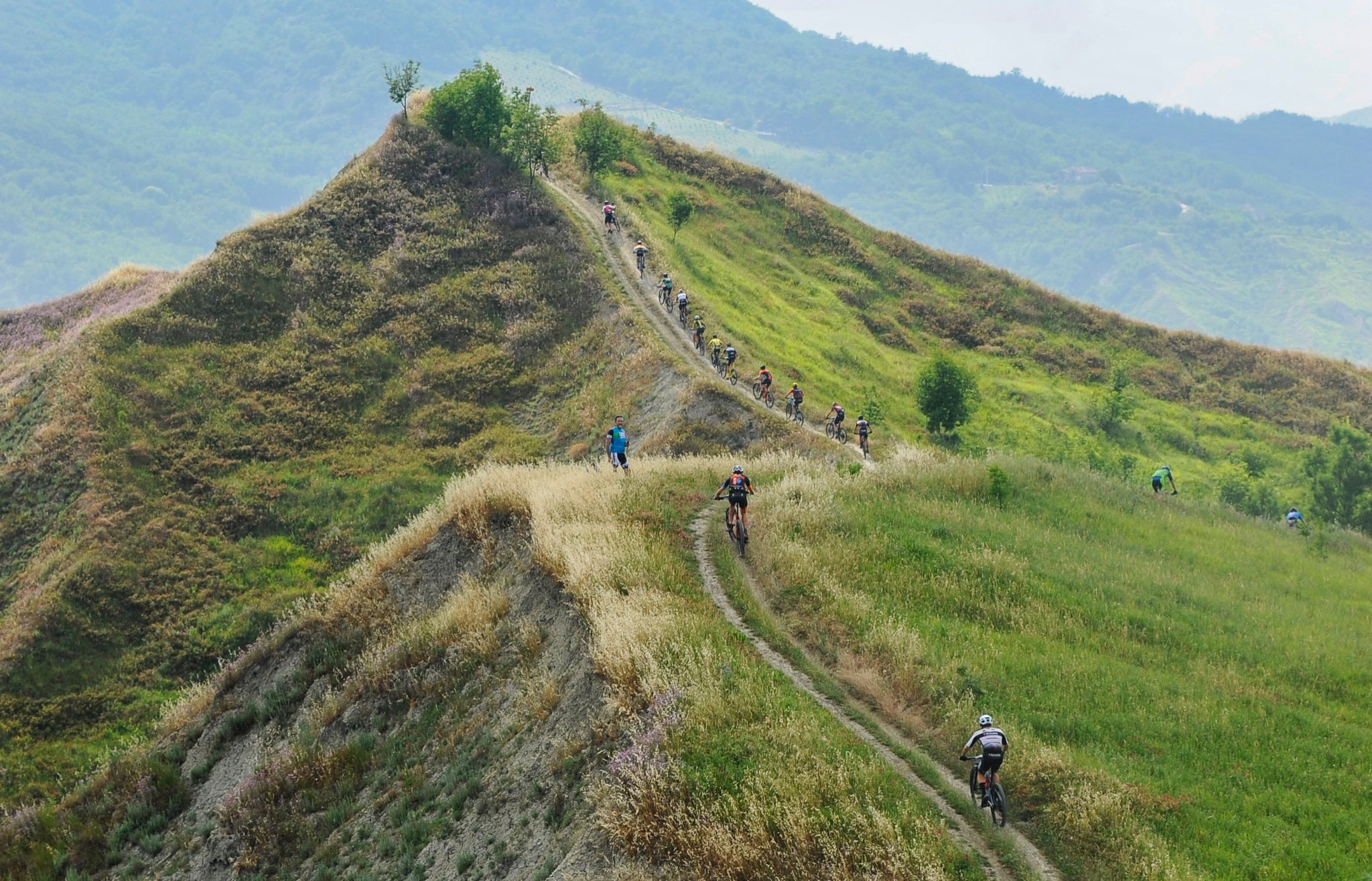 Rally Di Romagna Mtb