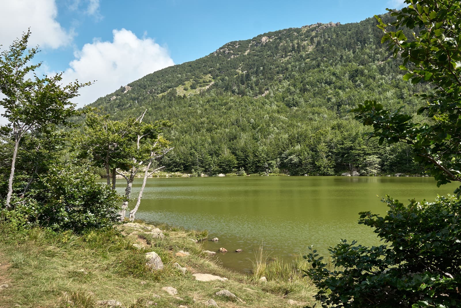 Lago Nero, Appennino piacentino Ph. Gaudenzio via shutterstock