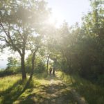 @nerioalessandri The beauty of the #wellnessvalley