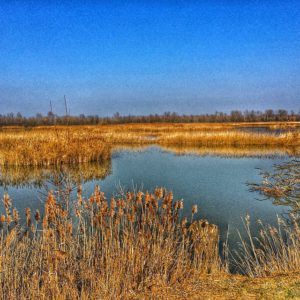 Parco del Delta del Po - Foto di @simonegraziosi