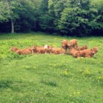 @giuliomtb chillin in the Appennines