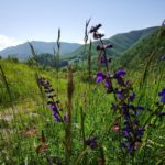 Parco dei Laghi di Suviana e Brasimone | Ph. Roberto Schieppati WLE2019