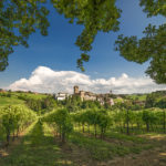 Castello di Levizzano in estate, Ph. Angelo Nastri Nacchio