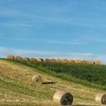 @giulia_tourguide – Le Colline di Parma