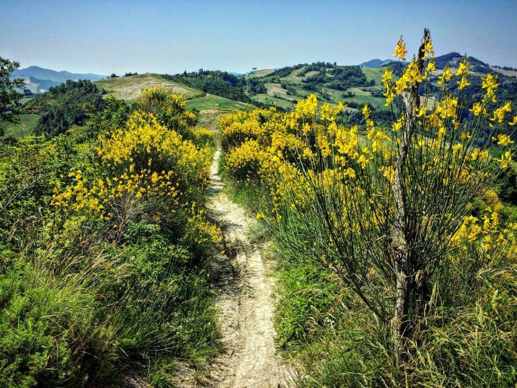 Il Parco del Carnè [Immagine scattata da @montanari.paolo, via Instagram]