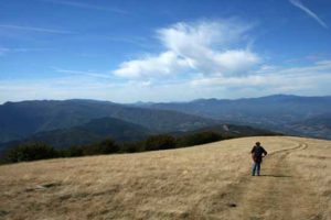 via francigena