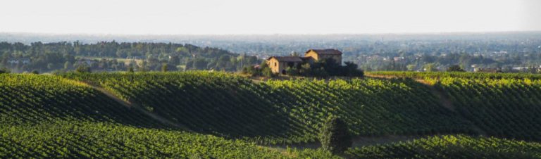 Grape and wine Festivals in Emilia Romagna