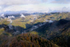 Autunno Slow: un autunno pieno di eventi nelle Foreste Casentinesi