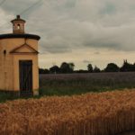 @Scope79 – Campagna bolognese al tramonto