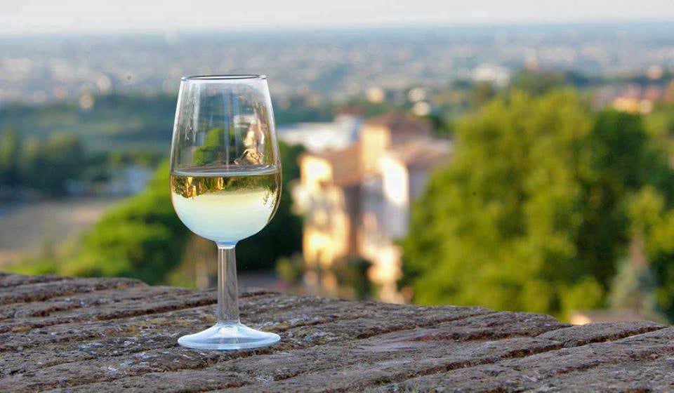 Strada dei Vini dei Colli di Forlì e di Cesena