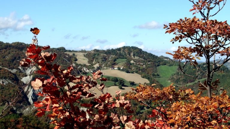 Emilia Romagna Slow | Saint Vicinio Way