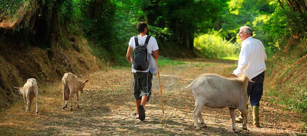 Via Francigena - Ph. www.viefrancigene.org