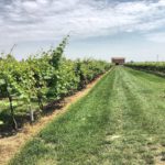 @traveldaveuk Today I’ve been exploring the region of Modena. Wine, salami, balsamic vinegar and Ferrrai, this area has it all