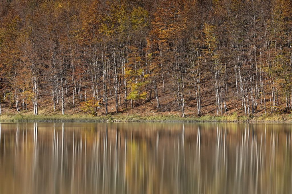 Autumn at Lago Pranda, Parco Appennino Tosco Emiliano | Ph. Carlo Alberto Conti WLE2019