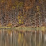 Autunno al Lago Pranda, Parco Appennino Tosco Emiliano | Ph. Carlo Alberto Conti WLE2019