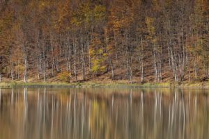 The autumn colours in Emilia-Romagna