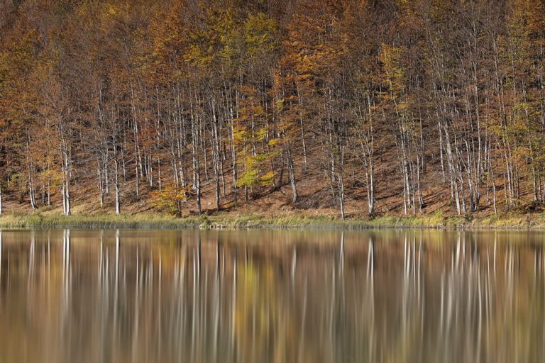 I colori dell’autunno in Emilia-Romagna
