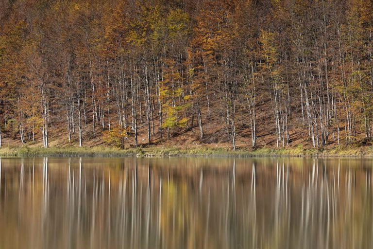 The autumn colours in Emilia-Romagna