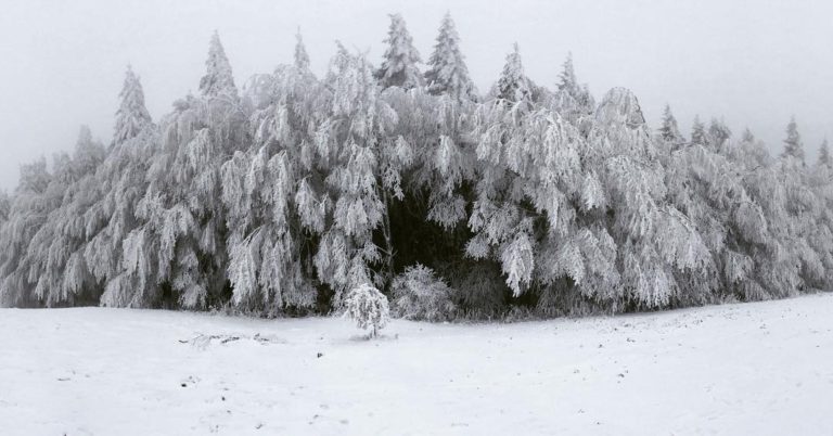 Sciare #inEmiliaRomagna | Appennino Forlivese