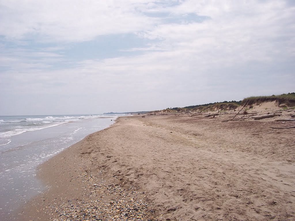 Lido di Dante (RA), Spiaggia della Bassona