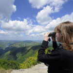 Parco Nazionale Foreste Casentinesi – Ph. F. Liverani via Parco delle Foreste Casentinesi