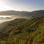 Autunno nel Parco – Ph. Giordano Giacomini via Parco Foreste Casentinesi