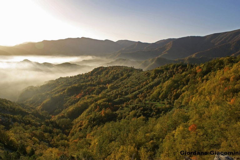 Il Parco delle Foreste Casentinesi e del Monte Falterona e Campigna