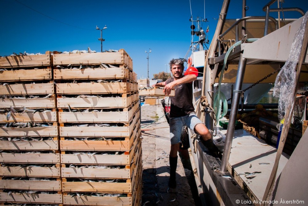 Rimini, pescatori | Credit: LolaAkinmade