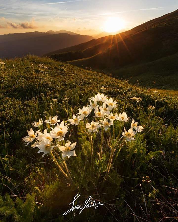 Monte Sillano, Parco Appennino Tosco-Emiliano | Ph. @lucafamlonga 