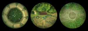 [ParlamiditER] Nell’Arena delle balle di paglia