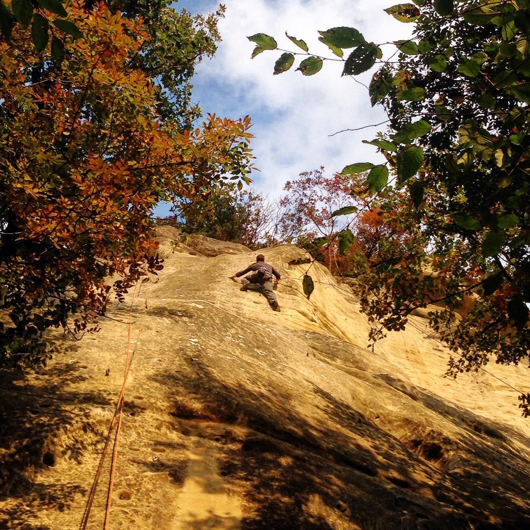 climbing