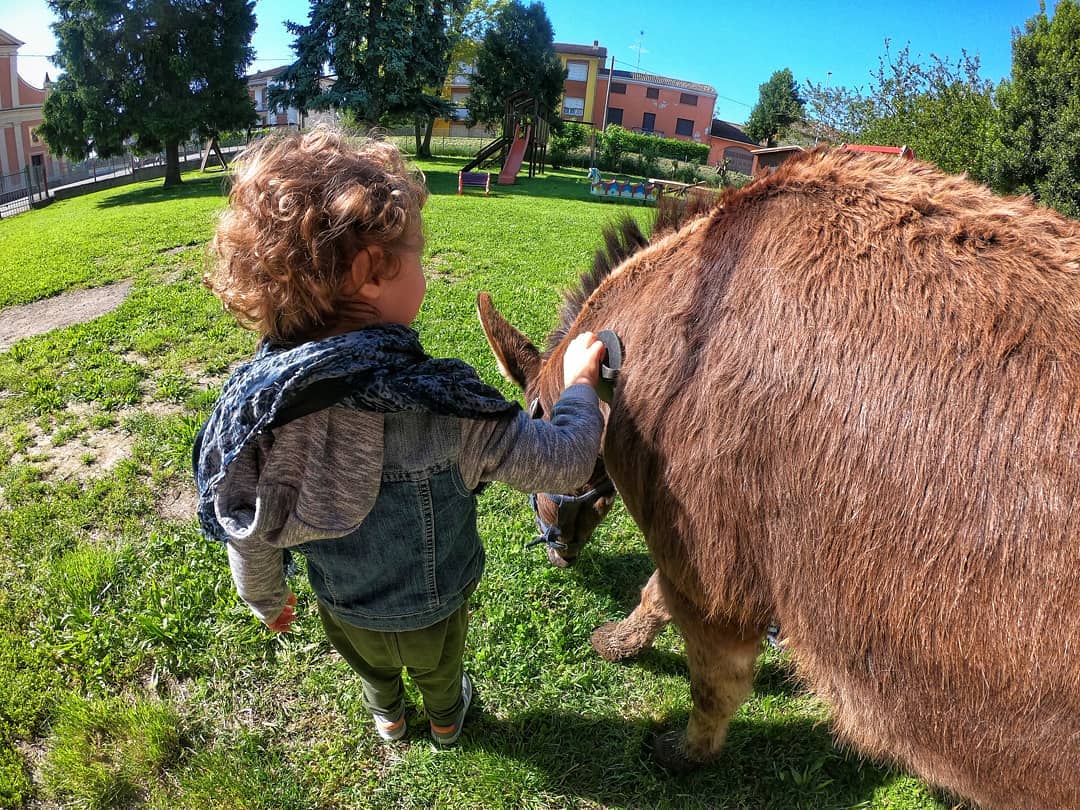 Kid and donkey | Ph. Asinomondo, il mondo degli Asini di Reggio Emilia