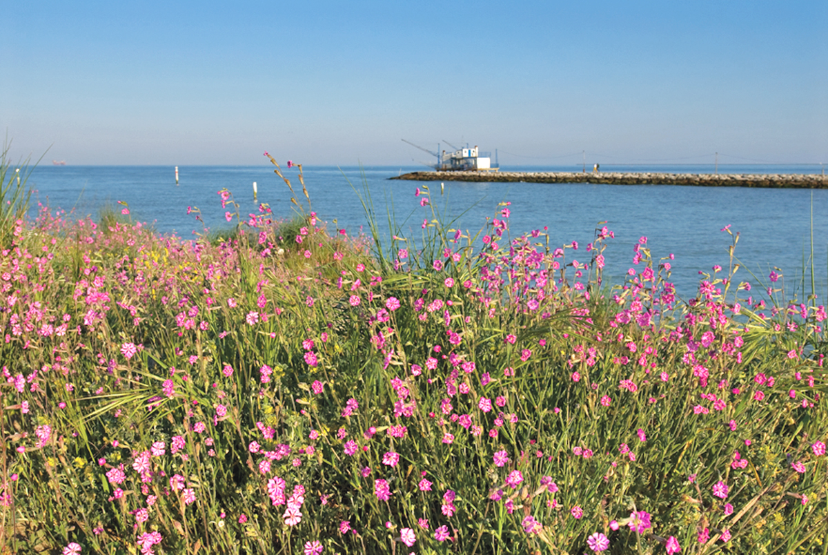 Mare in Primavera | Marina Romea (Ravenna) | Foto di Nicola Strocchi