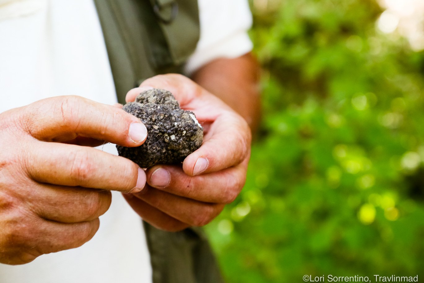 Tartufo Nero | Ph. Lori Sorrentino Travelinmad.com