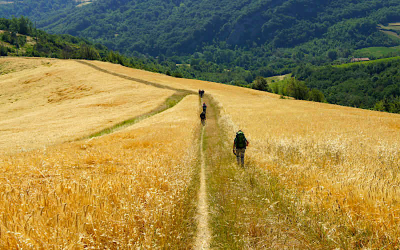 Cammino di Sant'Antonio (tratto Bologna-Settefonti-Tossignano) | Foto dal sito MagicoAlvis.it