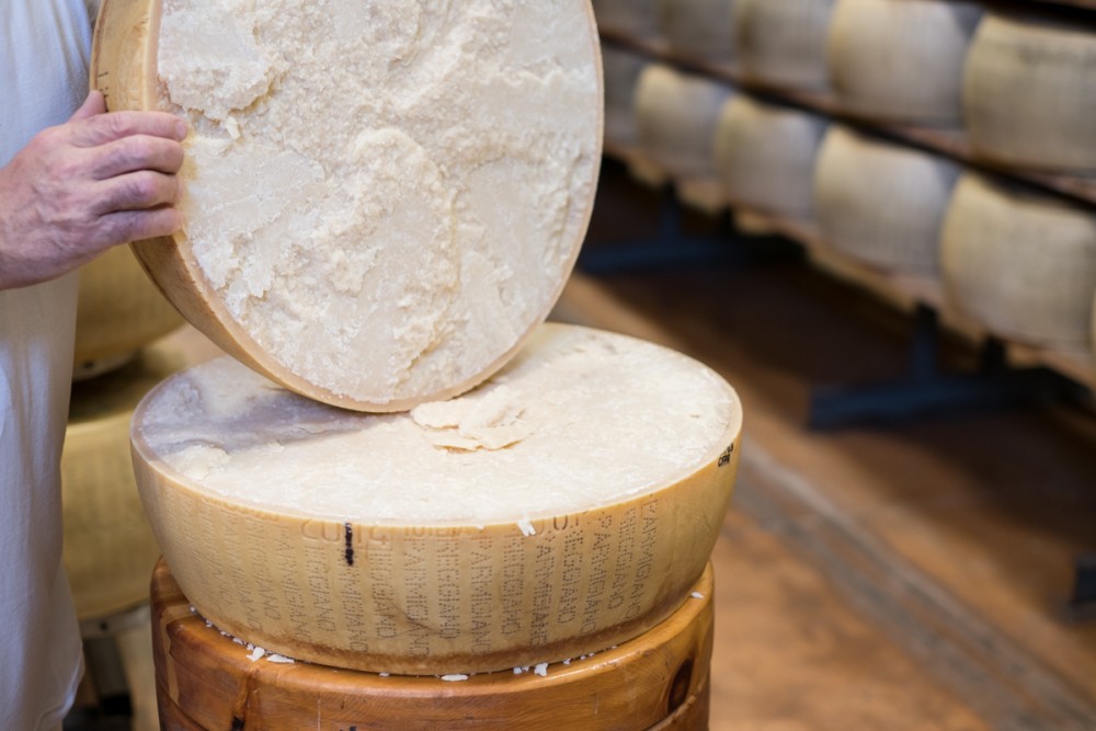 Parmigiano Reggiano DOP | Ph. Camilla Bertuzzi