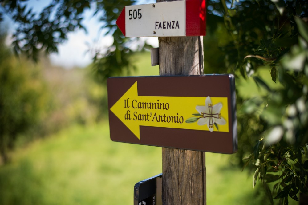 Cammino di Sant'Antonio | Foto © Giorgio Minguzzi