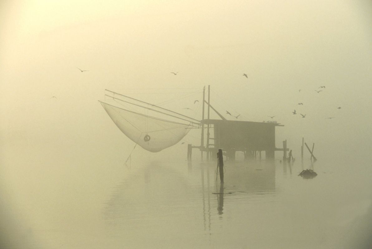 Valli di Comacchio (FE), Capanno nella nebbia