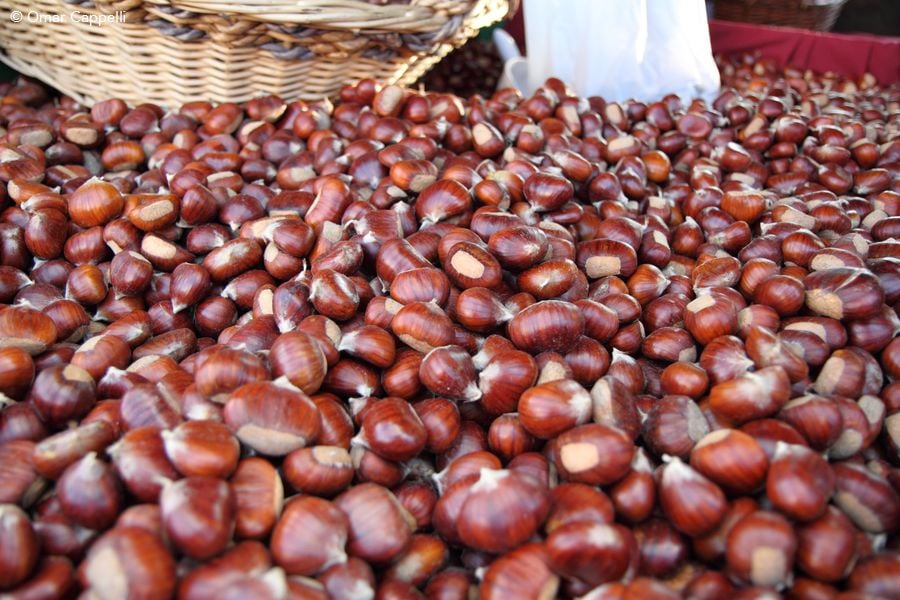 Castagne, Fiera del Tartufo di Sant'Agata Feltria Ph. @OmarCappelli