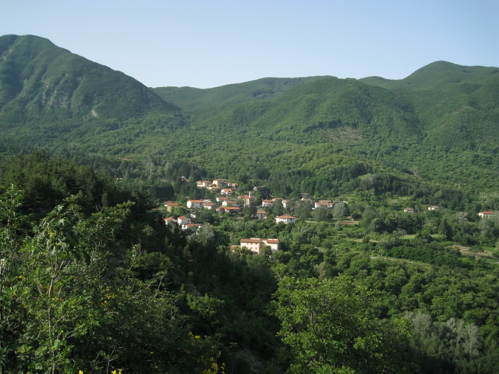 Castagno d’Andrea via parcoforestecasentinesi.it