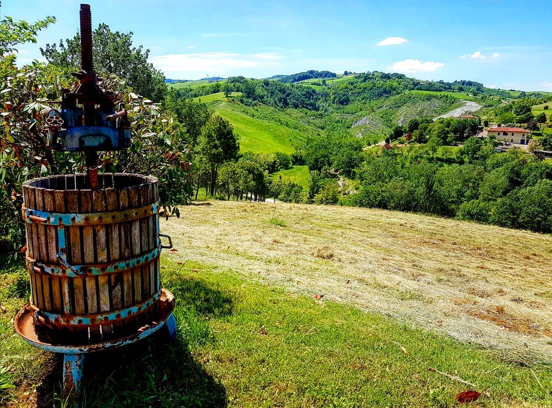 Castel San Pietro Terme Ph @chiari.mazzini