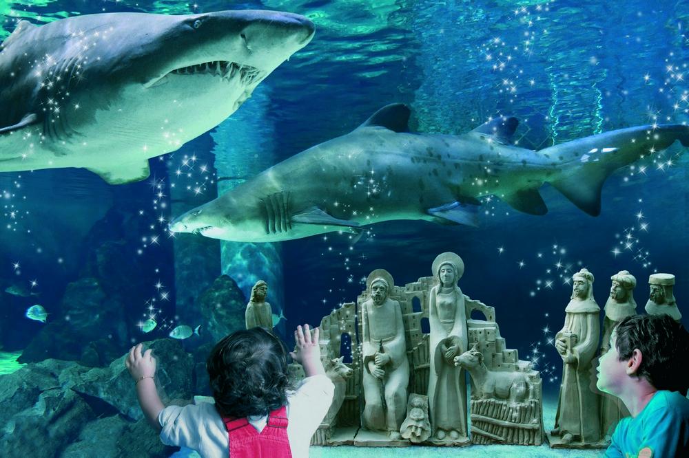 Cattolica, Acquario di Cattolica, presepe
