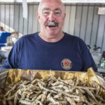 Cesenatico (FC), Il Pesce fa festa – alici fritte, Ph.Giorgio Salvatori, Archivio Cesenatico